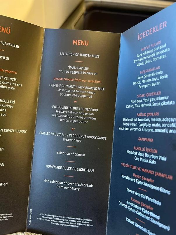 Turkish Airlines business class Airbus A330-300