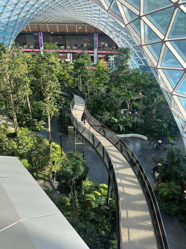 Qatar Airways business class Doha to Manchester