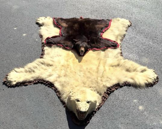 Look at the size difference between a