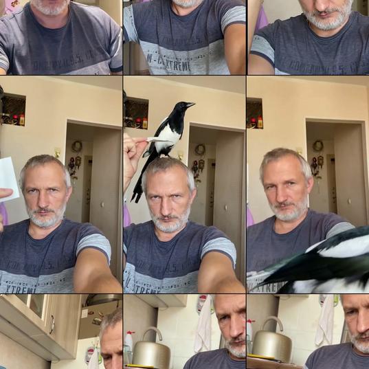 This magpie only accepts cash