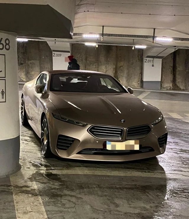 Rare BMW Skytop spotted in a German car park