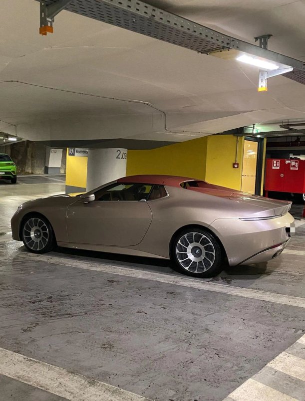 Rare BMW Skytop spotted in a German car park