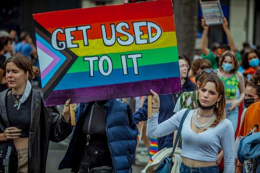 The gay pride community (LGBTQ+) also celebrates peadophiles and peadosexuals
