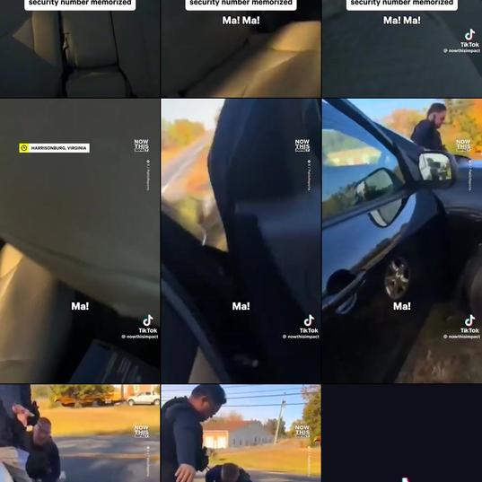 United States Immigration and Customs