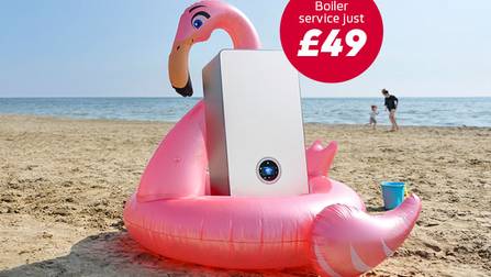 Full boiler service £49 from British Gas
