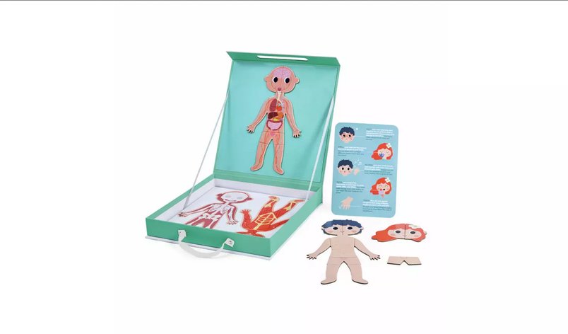 Chad Valley Human Body Magnetic Jigsaw and puzzle for £6
