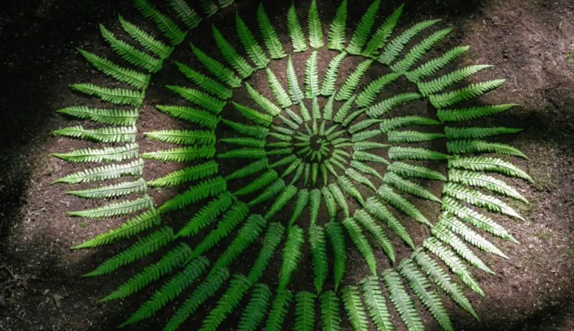 European Land Art Festival (ELAF) 2026