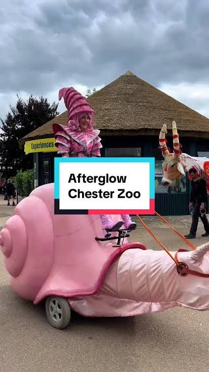 Chester Zoo After Glow is Back