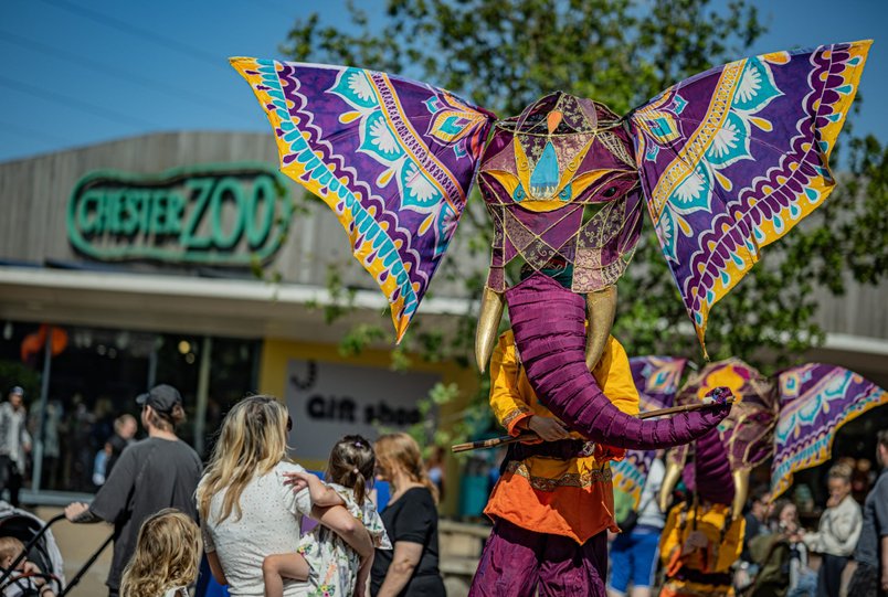 Chester Zoo After Glow is Back