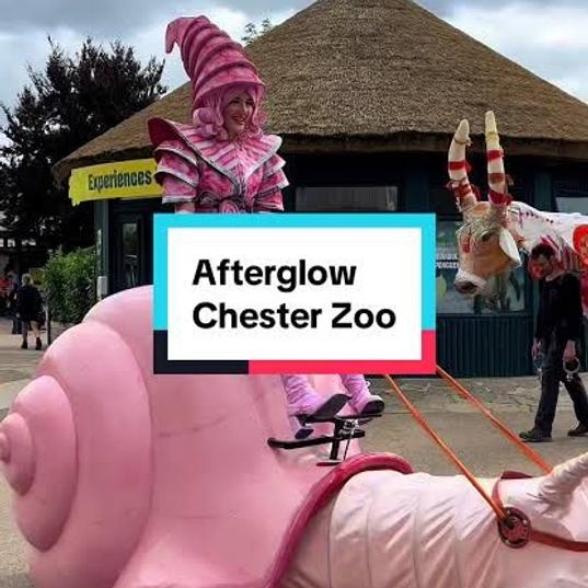 Chester Zoo After Glow is Back