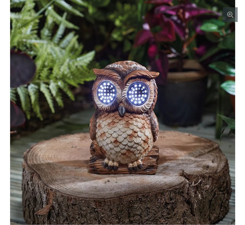 Blinkin Brown Hand painted Solar-powered LED Owl light for £3